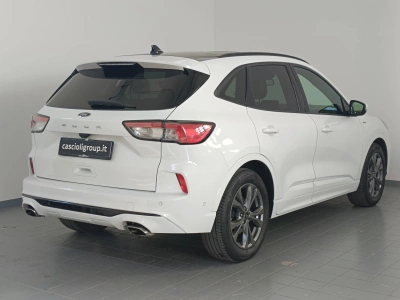 4 - Ford Kuga Cascioli Group