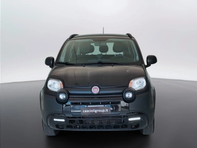 2 - Fiat Panda Cascioli Group