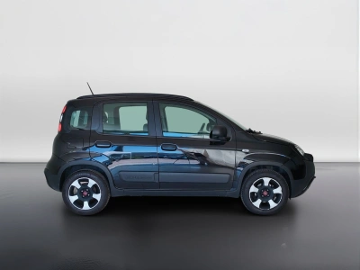 4 - Fiat Panda Cascioli Group