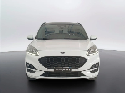 2 - Ford Kuga Cascioli Group