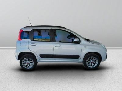 7 - Fiat Panda III Van 2016 Cascioli Group