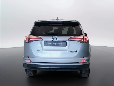 6 - Toyota RAV4 Cascioli Group