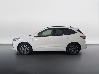 6 - Ford Kuga Cascioli Group