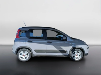 3 - Fiat Panda Cascioli Group