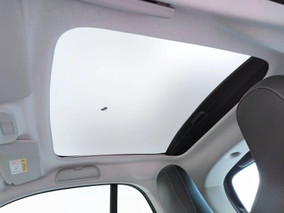10 - smart fortwo Cascioli Group