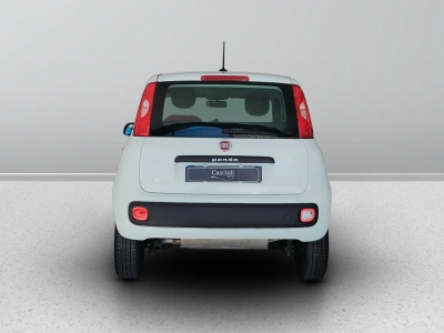 4 - Fiat Panda Cascioli Group
