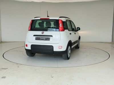 5 - Fiat Panda III 2021 Cascioli Group