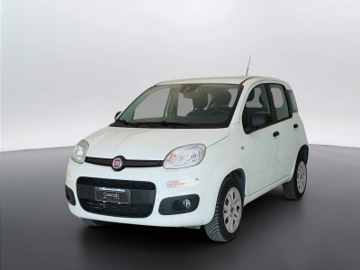 1 - Fiat Panda Cascioli Group