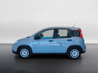 8 - Fiat Panda Cascioli Group