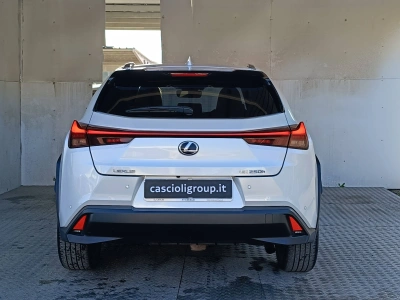 5 - Lexus UX Cascioli Group
