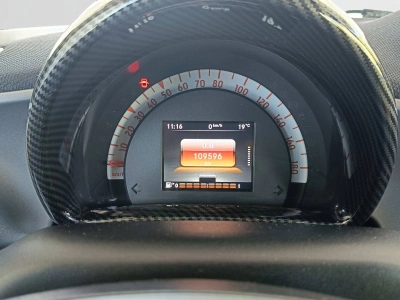 10 - smart fortwo Cascioli Group