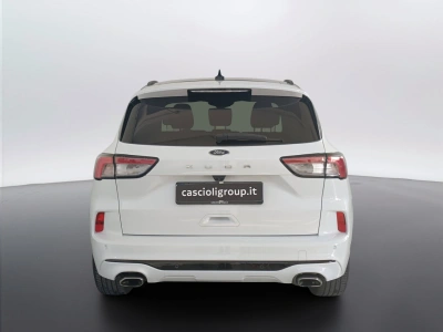 5 - Ford Kuga Cascioli Group