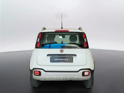 6 - Fiat Panda Cascioli Group