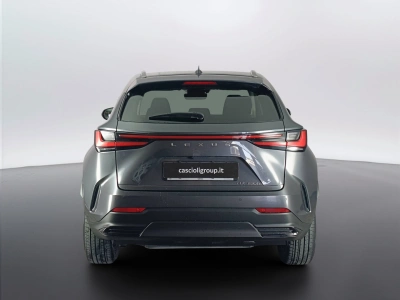 3 - Lexus NX Cascioli Group