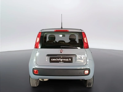 5 - Fiat Panda Cascioli Group