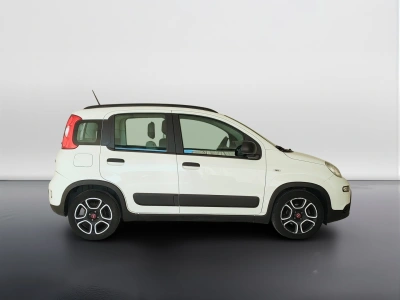 4 - Fiat Panda Cascioli Group