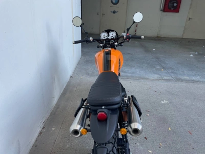 5 - Swm E3184 Cascioli Group