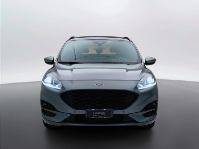 2 - Ford Kuga Cascioli Group