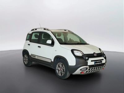 3 - Fiat Panda Cascioli Group