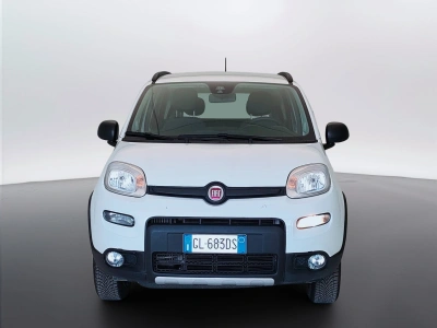 2 - Fiat Panda Cascioli Group