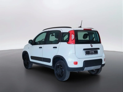 7 - Fiat Panda Cascioli Group