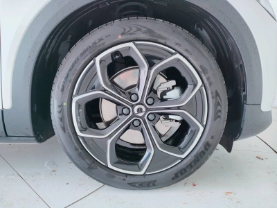 7 - smart #3 Cascioli Group