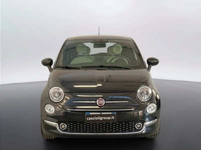 2 - Fiat 500 Cascioli Group