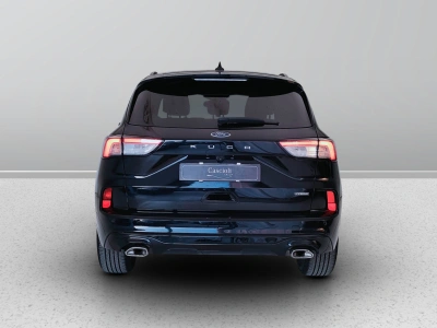 4 - Ford Kuga Cascioli Group
