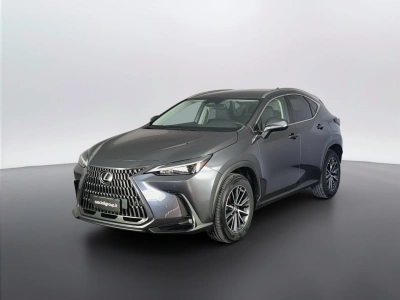 1 - Lexus NX Cascioli Group