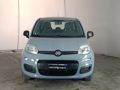 2 - Fiat Panda Cascioli Group
