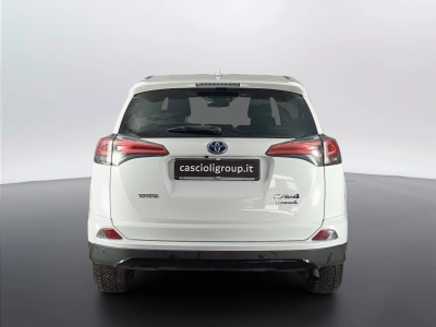 5 - Toyota RAV4 Cascioli Group