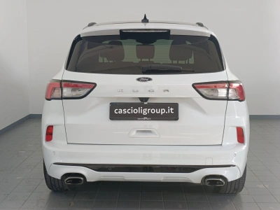 5 - Ford Kuga Cascioli Group
