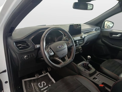 7 - Ford Kuga Cascioli Group