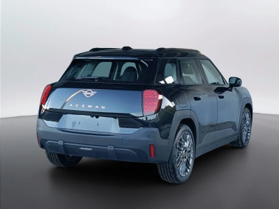 4 - MINI Aceman Cascioli Group