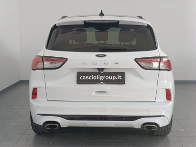 5 - Ford Kuga Cascioli Group