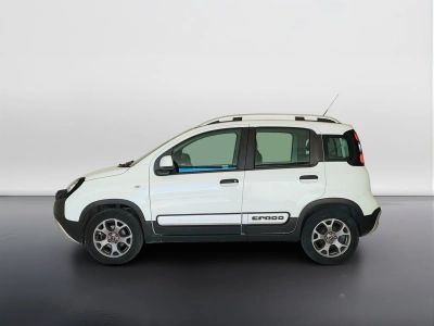 8 - Fiat Panda Cascioli Group