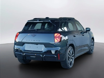 4 - MINI Aceman Cascioli Group