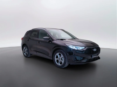 3 - Ford Kuga Cascioli Group