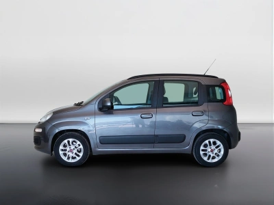 8 - Fiat Panda Cascioli Group