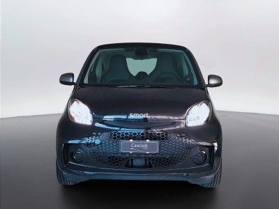 2 - smart fortwo Cascioli Group