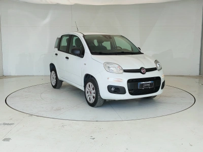 3 - Fiat Panda Cascioli Group