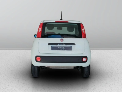 4 - Fiat Panda Cascioli Group
