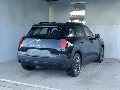 4 - MINI Aceman Cascioli Group