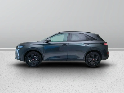 3 - Ds 7 Cascioli Group