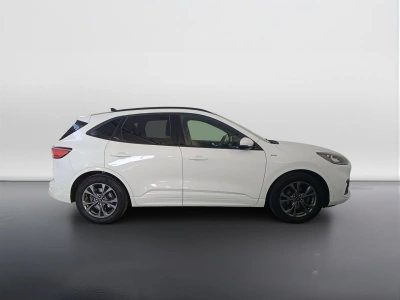 3 - Ford Kuga Cascioli Group