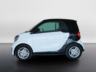 3 - smart fortwo Cascioli Group