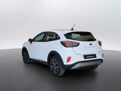 7 - Ford Puma Cascioli Group