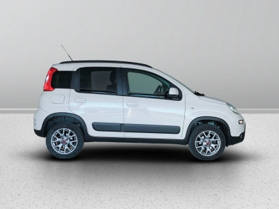 7 - Fiat Panda Cascioli Group