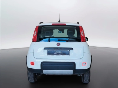 6 - Fiat Panda Cascioli Group