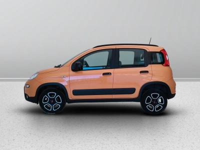 3 - Fiat Panda Cascioli Group